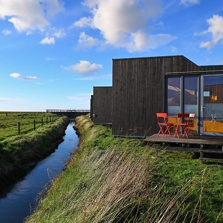 Tiny House Nature 9 Zur Kuhweide - Green Tiny Village Harlesiel カロリーネンジール エクステリア 写真