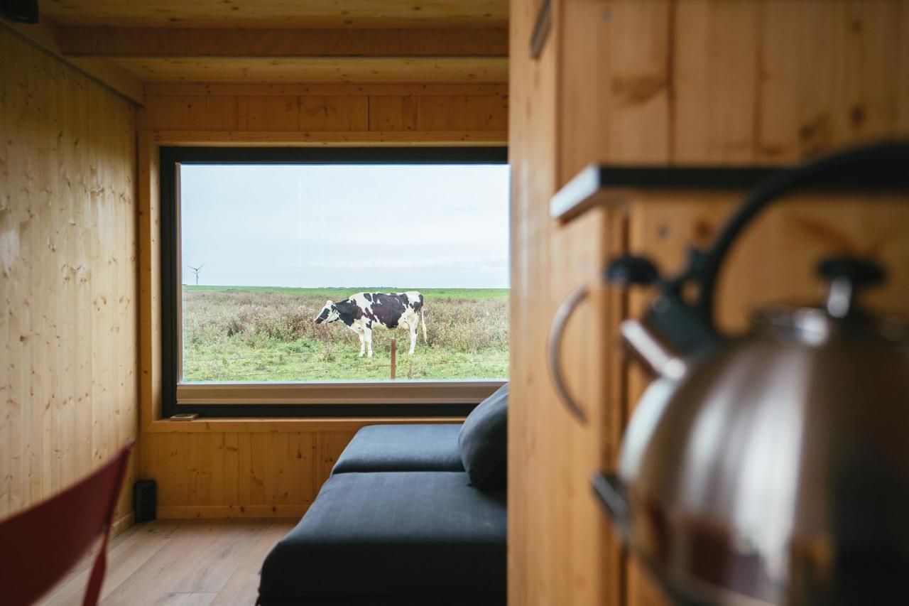 Tiny House Nature 9 Zur Kuhweide - Green Tiny Village Harlesiel カロリーネンジール エクステリア 写真