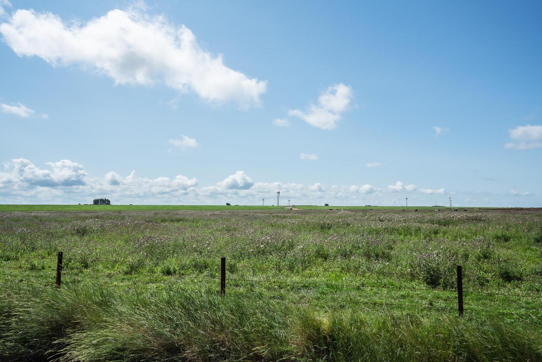 Tiny House Nature 9 Zur Kuhweide - Green Tiny Village Harlesiel カロリーネンジール エクステリア 写真
